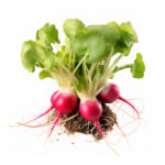 BEETROOT ORGANIC UAE