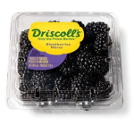 Blackberry Driscoll