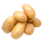 Potato
