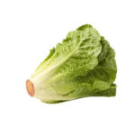 LETTUCE LONG ORGANIC UAE