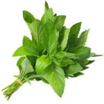 MOLOKHIA ORGANIC UAE