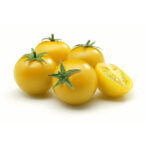 TOMATO CHERRY YELLOW ORGANIC UAE